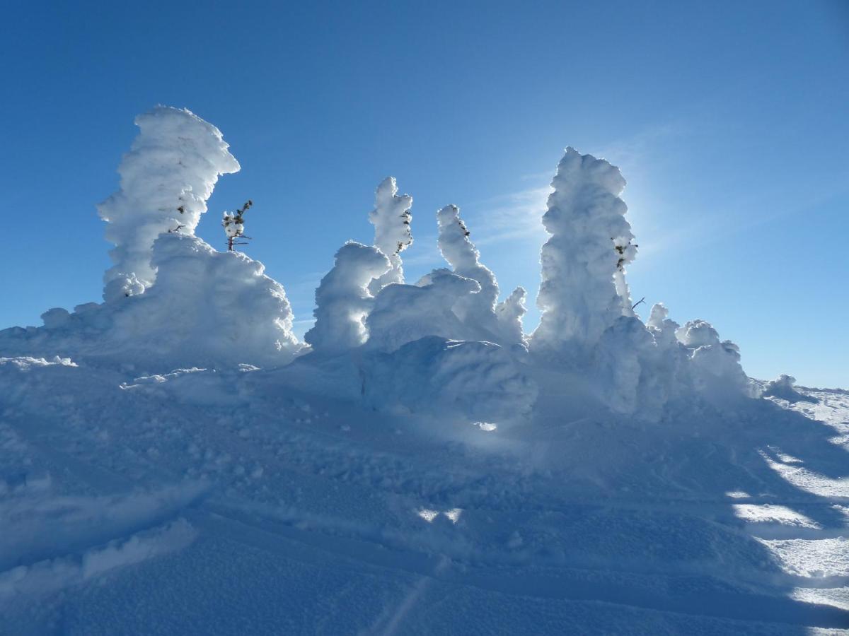 Stonebridge Lodge Big White Ski Resort Exterior photo